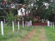 Sítio / Chácara para Venda em Leme/SP Jardim Eroísi 3...