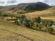 Sítio / Chácara para Venda em Leopoldina/MG Centro 4 Quartos
