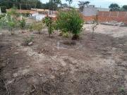 Sítio / Chácara para Venda em Limeira/SP Bairro dos Pires