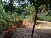 Sítio / Chácara para Venda em Limeira/SP Jaguari