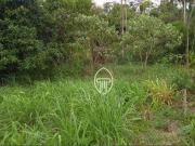 Sítio / Chácara para Venda em Londrina/PR Área Rural de...