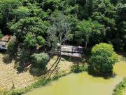 Sítio / Chácara para Venda em Londrina/PR Cafezal