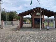 Sítio / Chácara para Venda em Londrina/PR Califórnia