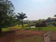 Sítio / Chácara para Venda em Londrina/PR Cidade...