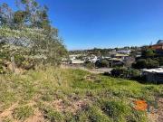 Sítio / Chácara para Venda em Louveira/SP Vila Omizollo