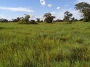Sítio / Chácara para Venda em Luciara/MT Zona Rural