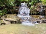 Sítio / Chácara para Venda em Macaé/RJ Sana 2 Quartos