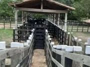 Sítio / Chácara para Venda em Macaíba/RN Centro 6 Quartos