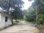 Sítio / Chácara para Venda em Manaus/AM Área Rural de...