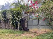 Sítio / Chácara para Venda em Manaus/AM Área Rural de...