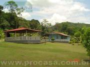 Sítio / Chácara para Venda em Manaus/AM Área Rural de...