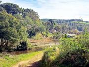 Sítio / Chácara para Venda em Mandirituba/PR Areia...