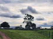 Sítio / Chácara para Venda em Mara Rosa/GO Zona Rural
