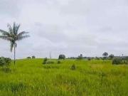 Sítio / Chácara para Venda em Marabá/PA Área Rural de Marabá