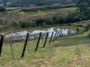 Sítio / Chácara para Venda em Mariana Pimentel/RS Centro...