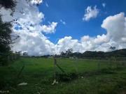 Sítio / Chácara para Venda em Marília/SP Chácara de...