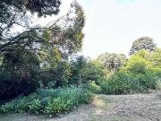 Sítio / Chácara para Venda em Marília/SP Jardim Virgínia...