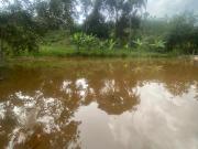 Sítio / Chácara para Venda em Mateus Leme/MG Azurita 3...