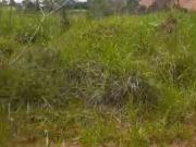 Sítio / Chácara para Venda em Mateus Leme/MG Serra Azul