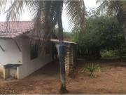 Sítio / Chácara para Venda em Maxaranguape/RN Centro 1...