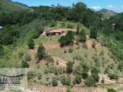 Sítio / Chácara para Venda em Miguel Pereira/RJ Lagoa...