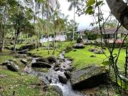 Sítio / Chácara para Venda em Miracatu/SP Área Rural 4...