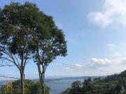 Sítio / Chácara para Venda em Mogi das Cruzes/SP...