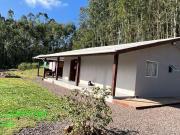 Sítio / Chácara para Venda em Montenegro/RS Costa da...