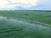 Sítio / Chácara para Venda em Nantes/SP Centro