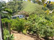 Sítio / Chácara para Venda em Natividade da Serra/SP...