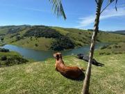 Sítio / Chácara para Venda em Natividade da Serra/SP...