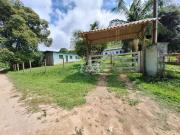 Sítio / Chácara para Venda em Natividade da Serra/SP...