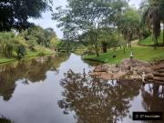 Sítio / Chácara para Venda em Nazaré Paulista/SP Cuiabá...