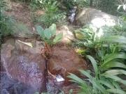 Sítio / Chácara para Venda em Niterói/RJ Piratininga 2...