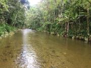 Sítio / Chácara para Venda em Nova Friburgo/RJ Área...