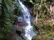 Sítio / Chácara para Venda em Nova Friburgo/RJ Lumiar 2...