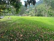 Sítio / Chácara para Venda em Nova Friburgo/RJ Mury 2...