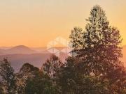 Sítio / Chácara para Venda em Nova Petrópolis/RS Vila...