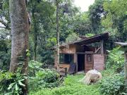 Sítio / Chácara para Venda em Nova Petrópolis/RS Zona Rural
