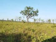 Sítio / Chácara para Venda em Palmas/TO Área Rural de Palmas