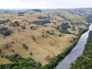 Sítio / Chácara para Venda em Palmital/PR Zona Rural