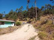 Sítio / Chácara para Venda em Paraibuna/SP Centro 3 Quartos