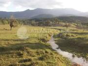 Sítio / Chácara para Venda em Paranaguá/PR Colônia...