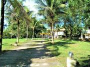 Sítio / Chácara para Venda em Paranaguá/PR Jardim...