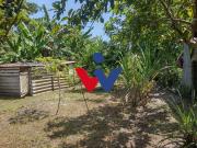 Sítio / Chácara para Venda em Paranaguá/PR Rio das...