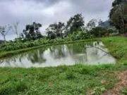 Sítio / Chácara para Venda em Paraty/RJ Centro 3 Quartos