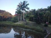 Sítio / Chácara para Venda em Pariquera Açu/SP Zona Rural