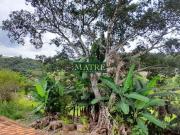 Sítio / Chácara para Venda em Pedra Bela/SP Centro 5 Quartos