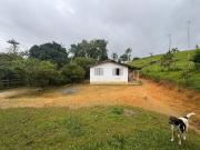 Sítio / Chácara para Venda em Peruíbe/SP Chacaras Tamoio...