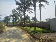 Sítio / Chácara para Venda em Peruíbe/SP Estancia Vale...